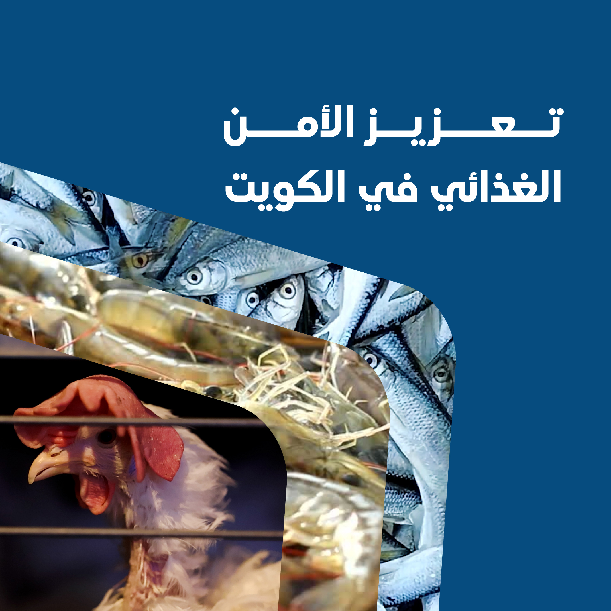 Kuwait Direct Investment Promotion Kuwait Direct Investment Promotion