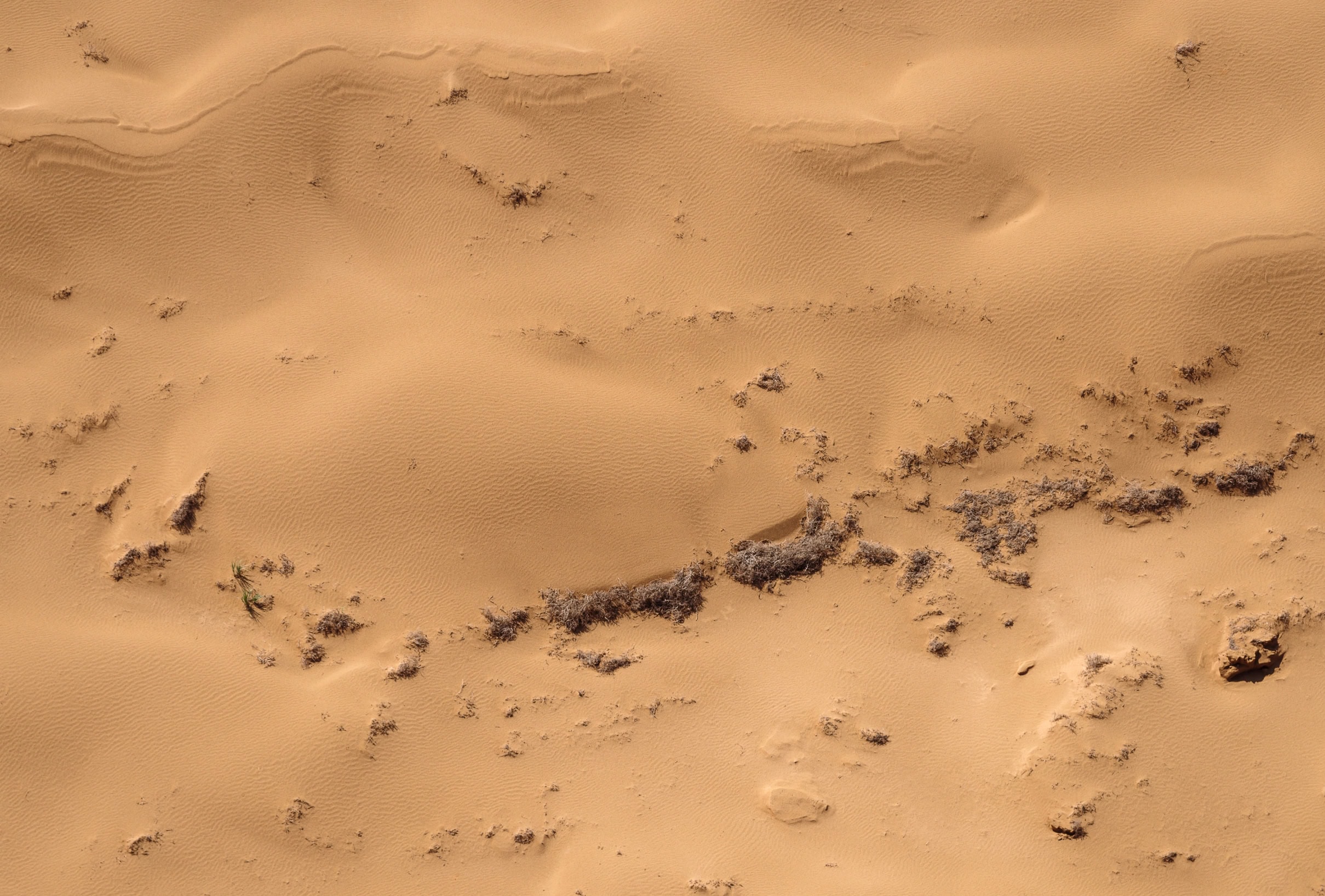 Economic zone benefits Background